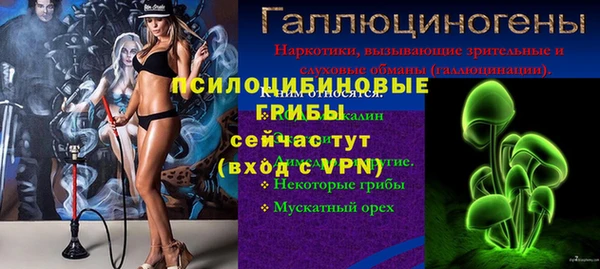 PSILOCYBIN Алексин