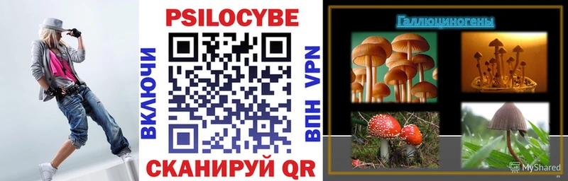 Галлюциногенные грибы Magic Shrooms  купить наркотик  Боровичи 
