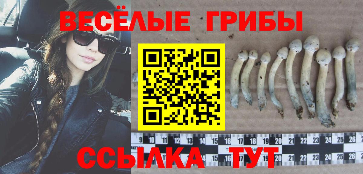 Псилоцибиновые грибы MAGIC MUSHROOMS  Галлюциногенные грибы Cubensis  Вход с VPN  Боровичи 