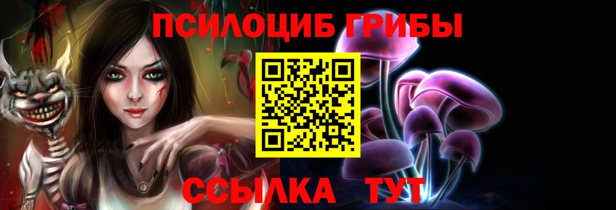 Галлюциногенные грибы мицелий Боровичи
